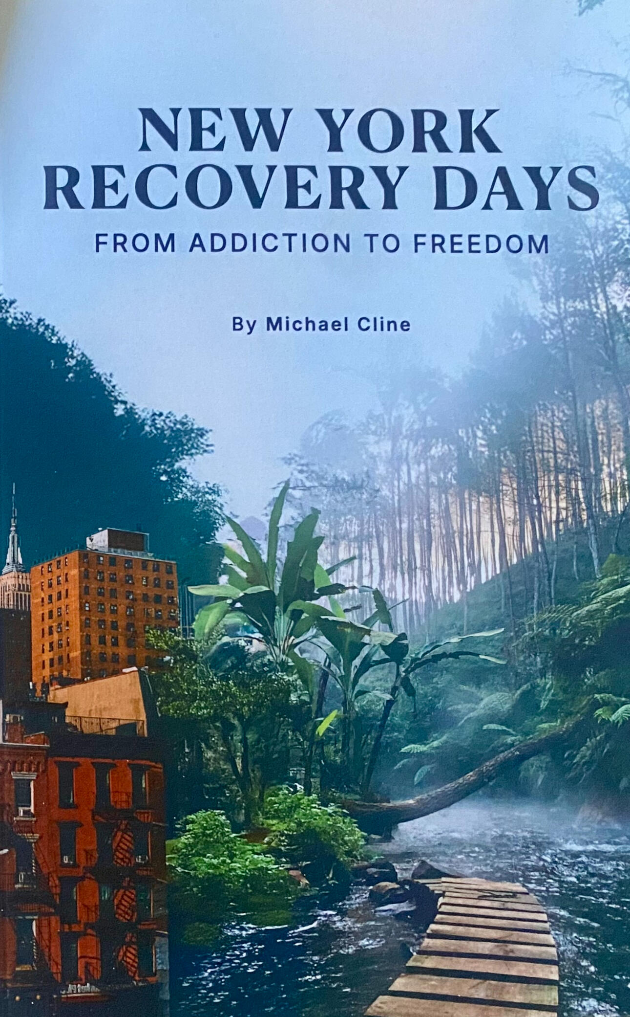 NEW YORK RECOVERY DAYS The cover of the book NEW YORK RECOVERY DAYS